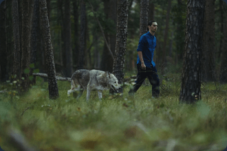 A picture of cosme walking a wolf.