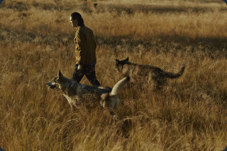 A picture of cosme walking two wolves.